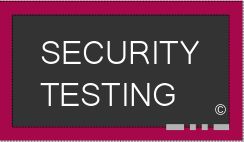 Security Testing and Penetration Testing Service